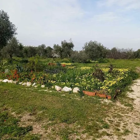 Lepore * Molfetta