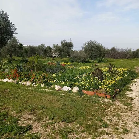 Lepore Villa Molfetta