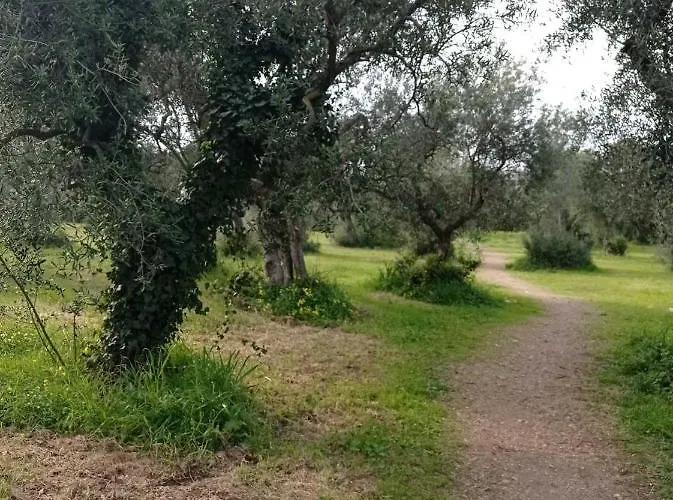 וילה Lepore *